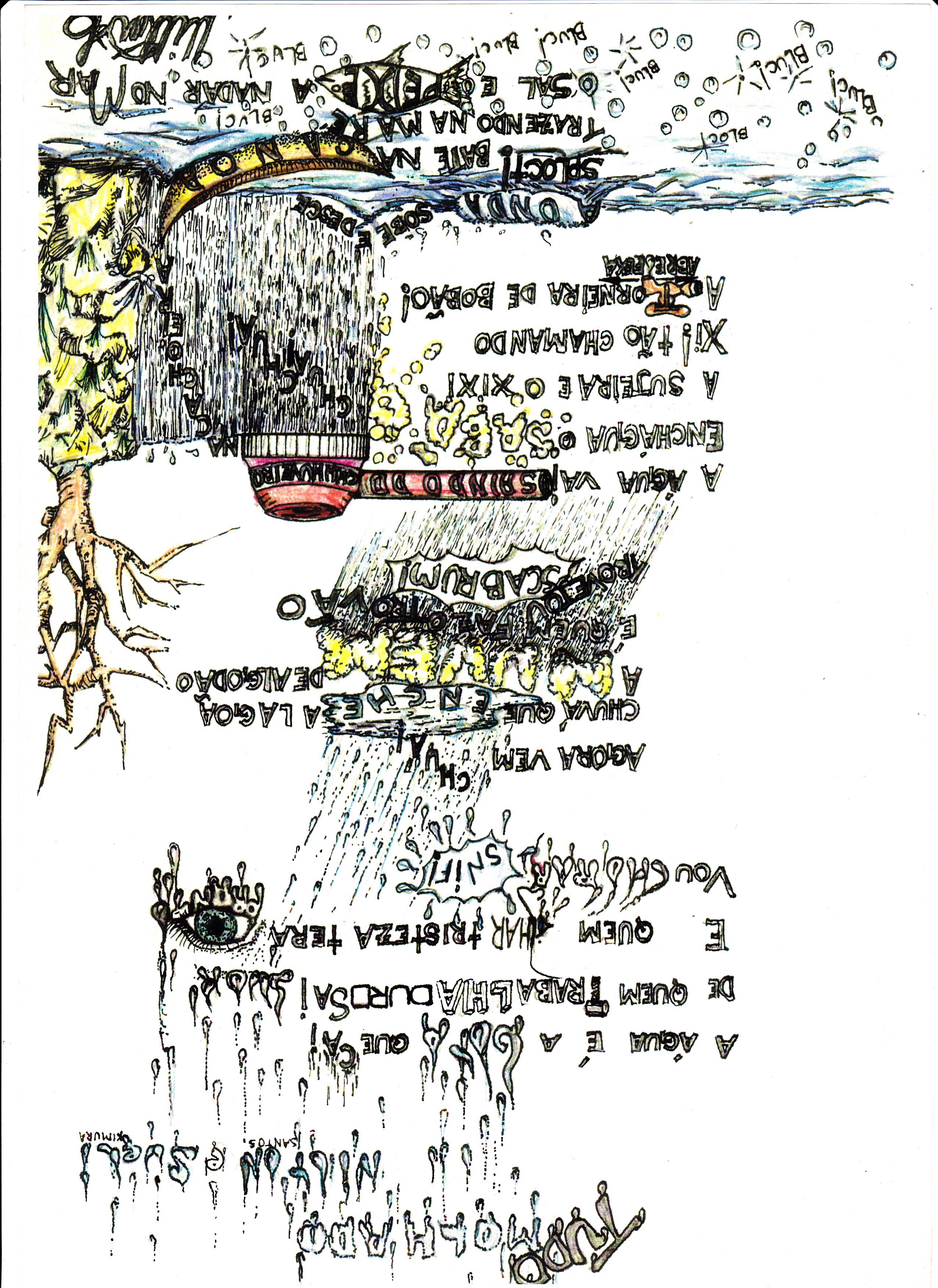 Musica Todo Molhado.jpg